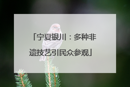 宁夏银川：多种非遗技艺引民众参观