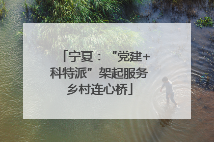 宁夏：“党建+科特派”架起服务乡村连心桥
