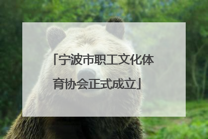 宁波市职工文化体育协会正式成立
