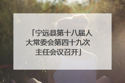 宁远县第十八届人大常委会第四十九次主任会议召开