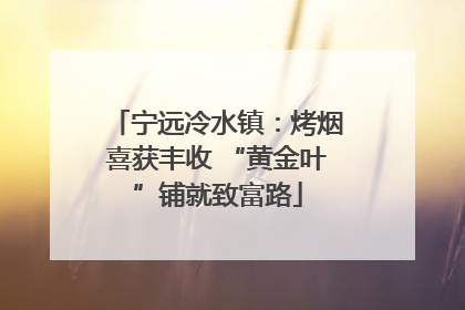 宁远冷水镇：烤烟喜获丰收 “黄金叶”铺就致富路