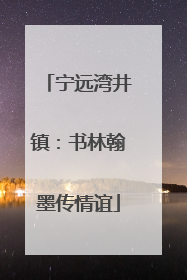 宁远湾井镇：书林翰墨传情谊
