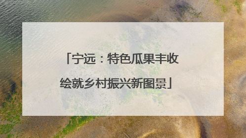 宁远：特色瓜果丰收绘就乡村振兴新图景