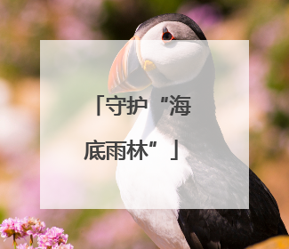 守护“海底雨林”