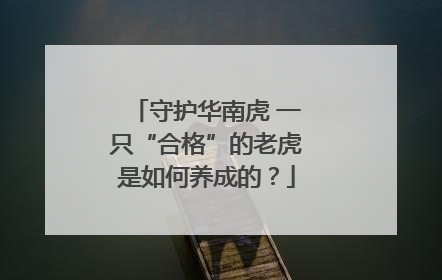 守护华南虎 一只“合格”的老虎是如何养成的？