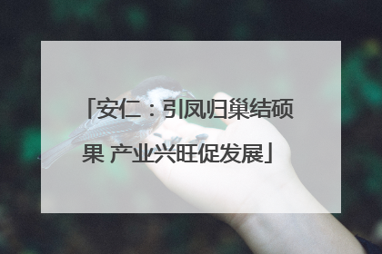 安仁：引凤归巢结硕果 产业兴旺促发展