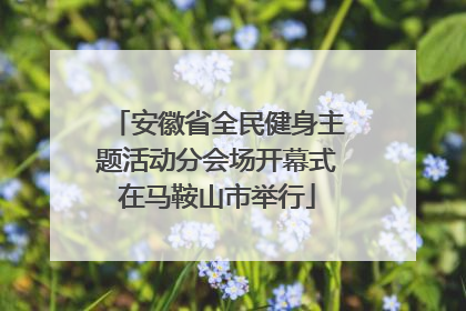 安徽省全民健身主题活动分会场开幕式在马鞍山市举行