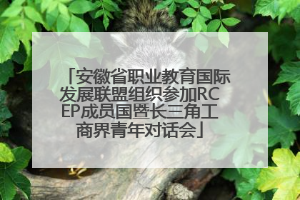 安徽省职业教育国际发展联盟组织参加RCEP成员国暨长三角工商界青年对话会