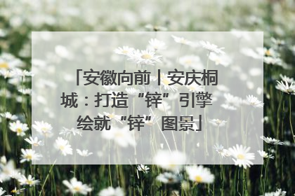 安徽向前丨安庆桐城：打造“锌”引擎 绘就“锌”图景