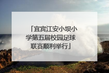 宜宾江安小坝小学第五届校园足球联赛顺利举行