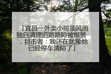 宜昌一外卖小哥顶风雨独自清理道路路障被爆赞，目击者：我还在犹豫他已经停车清障了