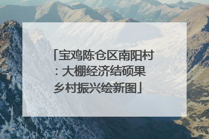 宝鸡陈仓区南阳村：大棚经济结硕果 乡村振兴绘新图