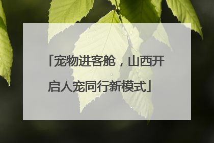 宠物进客舱，山西开启人宠同行新模式