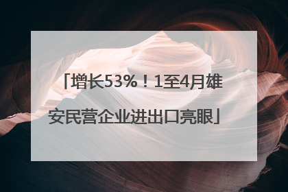 增长53%！1至4月雄安民营企业进出口亮眼