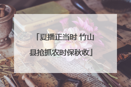 夏播正当时 竹山县抢抓农时保秋收