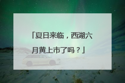 夏日来临，西湖六月黄上市了吗？