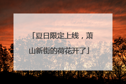 夏日限定上线，萧山新街的荷花开了