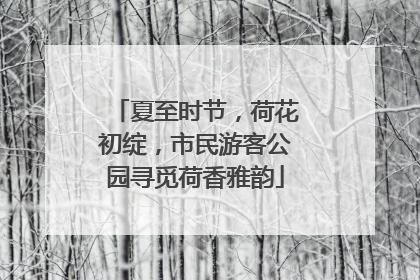 夏至时节，荷花初绽，市民游客公园寻觅荷香雅韵