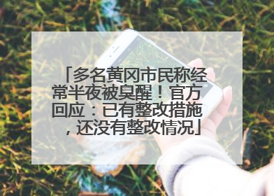 多名黄冈市民称经常半夜被臭醒！官方回应：已有整改措施，还没有整改情况