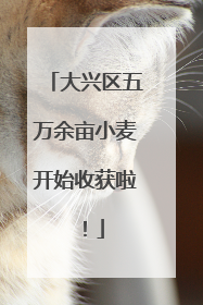 大兴区五万余亩小麦开始收获啦！