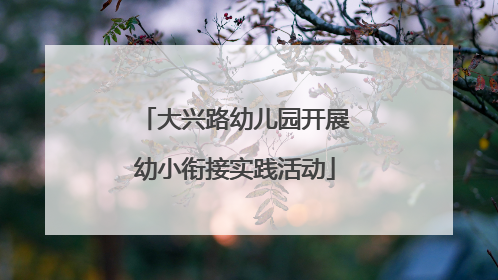 大兴路幼儿园开展幼小衔接实践活动
