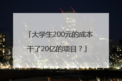 大学生200元的成本干了20亿的项目？