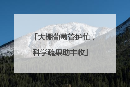 大棚葡萄管护忙，科学疏果助丰收