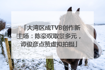 大湾区成TVB创作新主场：陈豪叹取景多元，谭俊彦点赞虚拟拍摄