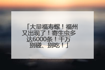 大量福寿螺！福州又出现了！寄生虫多达6000条！千万别碰、别吃！