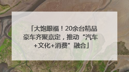 大饱眼福！20余台精品豪车齐聚嘉定，推动“汽车+文化+消费”融合