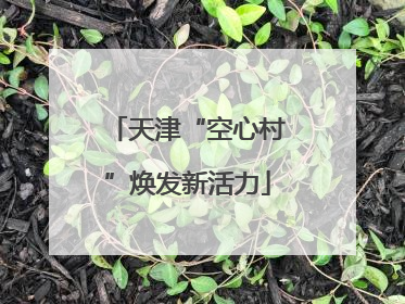 天津“空心村”焕发新活力