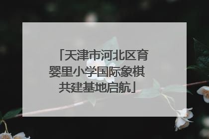 天津市河北区育婴里小学国际象棋共建基地启航