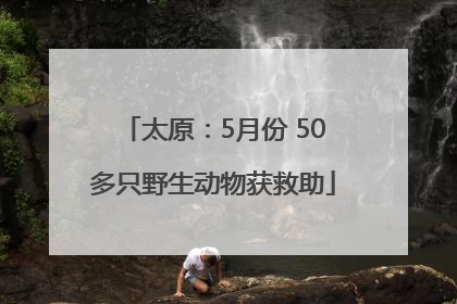 太原：5月份 50多只野生动物获救助