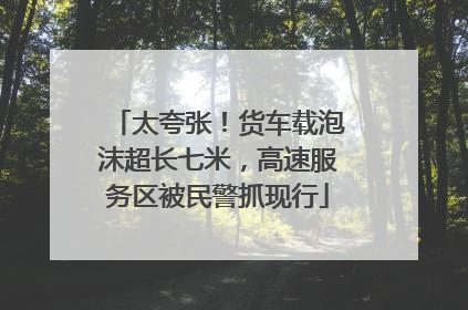 太夸张！货车载泡沫超长七米，高速服务区被民警抓现行
