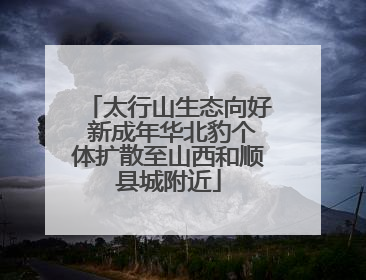太行山生态向好 新成年华北豹个体扩散至山西和顺县城附近