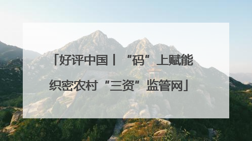 好评中国丨“码”上赋能 织密农村“三资”监管网