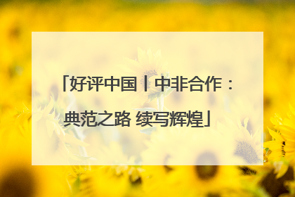 好评中国丨中非合作：典范之路 续写辉煌