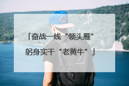 奋战一线“领头雁” 躬身实干“老黄牛”