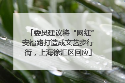 委员建议将“网红”安福路打造成文艺步行街，上海徐汇区回应