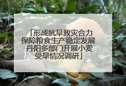 形成抗旱救灾合力 保障粮食生产稳定发展 丹阳多部门开展小麦受旱情况调研
