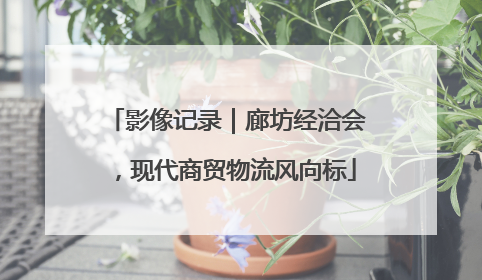 影像记录｜廊坊经洽会，现代商贸物流风向标