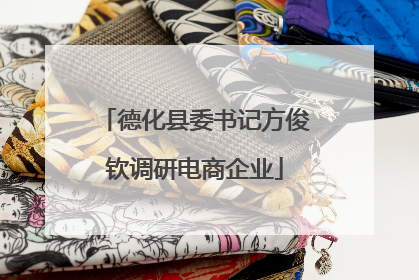 德化县委书记方俊钦调研电商企业