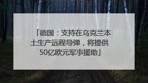 德国：支持在乌克兰本土生产远程导弹，将提供50亿欧元军事援助