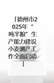 德州市2025年“吨半粮”生产能力建设小麦测产工作全面启动