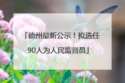 德州最新公示！拟选任90人为人民监督员