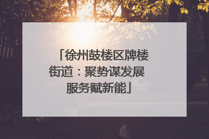 徐州鼓楼区牌楼街道：聚势谋发展 服务赋新能
