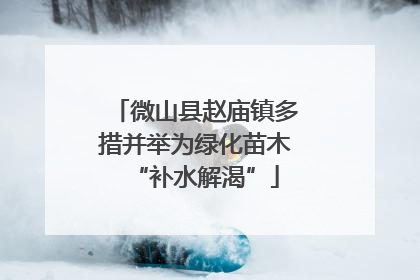 微山县赵庙镇多措并举为绿化苗木“补水解渴”
