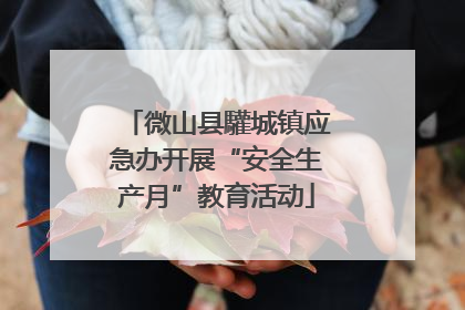 微山县驩城镇应急办开展“安全生产月”教育活动