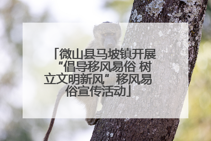 微山县马坡镇开展“倡导移风易俗 树立文明新风”移风易俗宣传活动