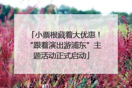 小票根藏着大优惠！“跟着演出游浦东”主题活动正式启动